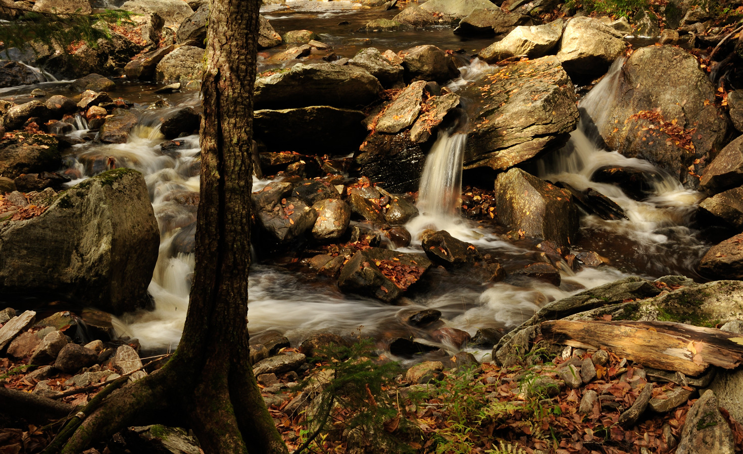 Vermont [48 mm, 1/4 sec at f / 29, ISO 200]